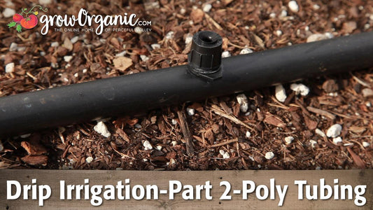 Barbed drip emitter installed in black poly tubing