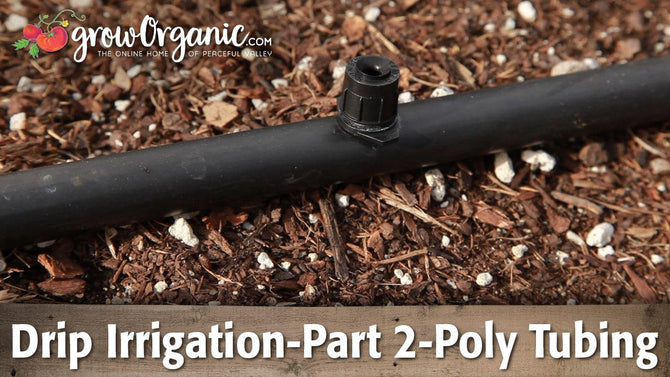 Barbed drip emitter installed in black poly tubing