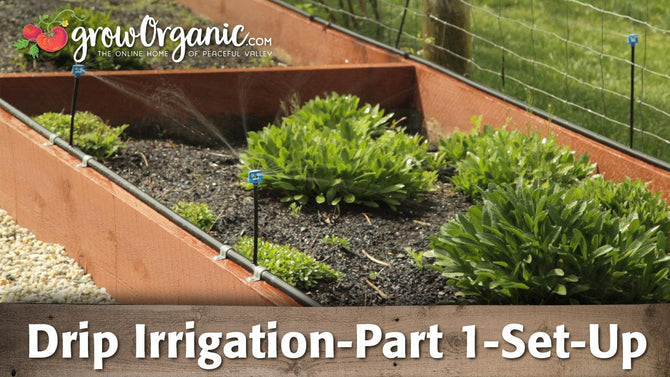 Drip irrigation tubing installed in raised garden beds