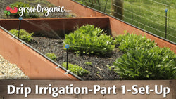 Drip irrigation tubing installed in raised garden beds