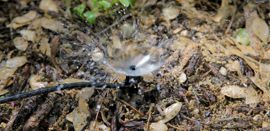 Choosing the Right Irrigation for Your Garden