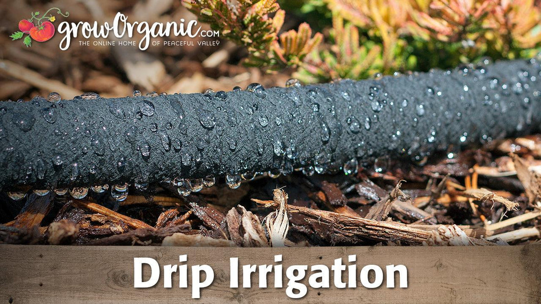 Soaker hose releasing water over garden mulch