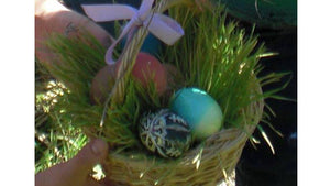 DIY Living Easter Basket
