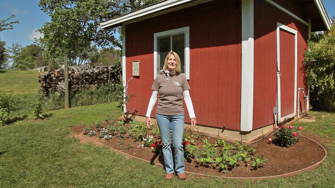 Edible landscape combining fruit trees, berry plants, herbs, vegetables, and flowers