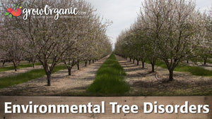 Environmental Tree Disorders: Diagnose Abiotic Stress