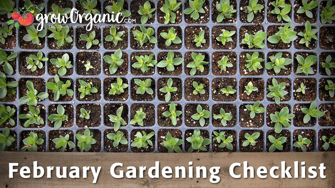 Spring garden planning checklist over seedling trays