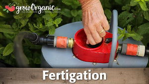 Fertigation Equipment Setup and Use (Video)