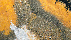 Bands of granular and powdered fertilizers