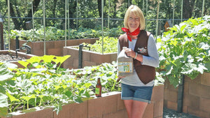 4 Common Gardening Fertilizer Myths