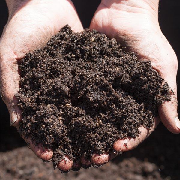 Hands holding a mound of dark compost