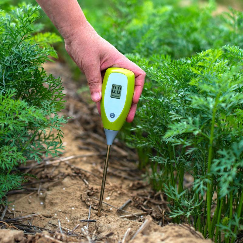 Hand checking garden soil with a digital meter