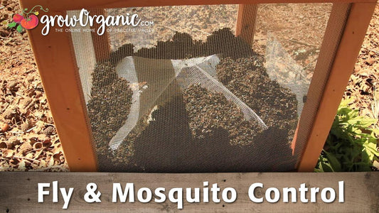Mesh fly and mosquito trap hanging outdoors