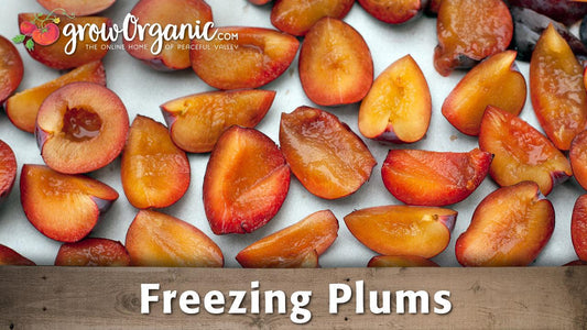 Halved plums arranged on a baking sheet