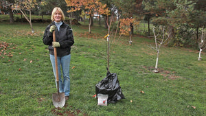 4 Common Myths About Bare Root Trees