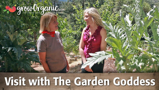 Two women talking beside tall garden plants