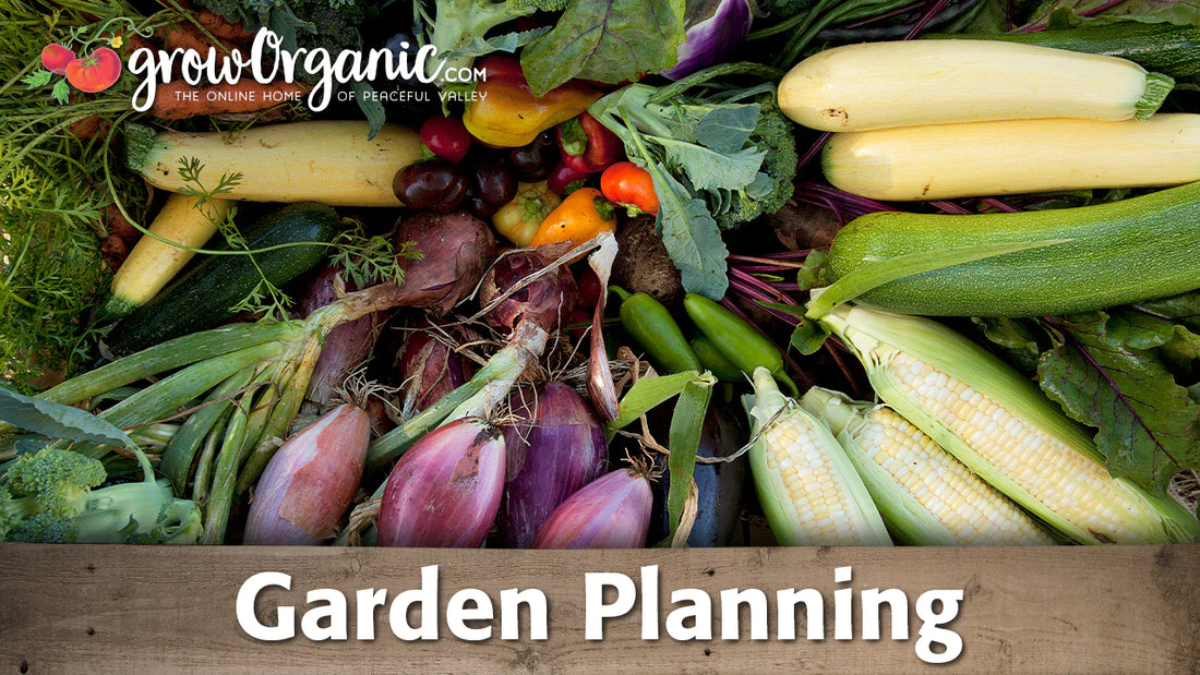 Planning and Crop Selection in the Home Garden
