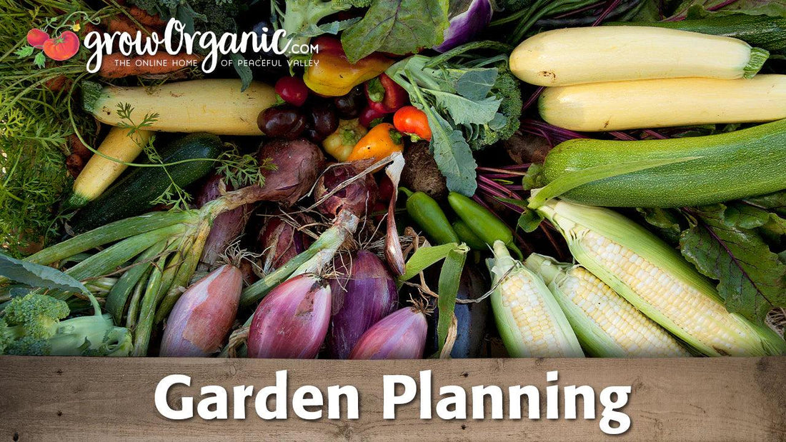 Planning and Crop Selection in the Home Garden