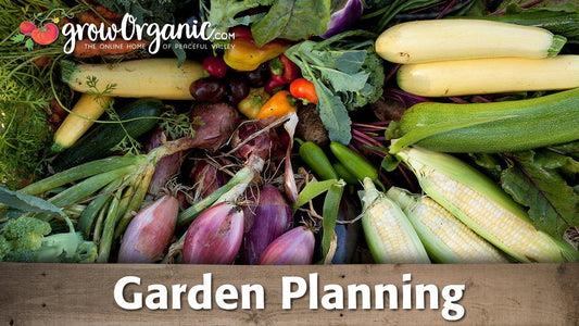 Garden planning guide graphic over harvested vegetables