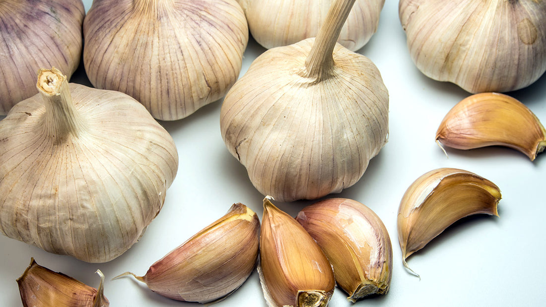 How to preserve garlic to enjoy all year long