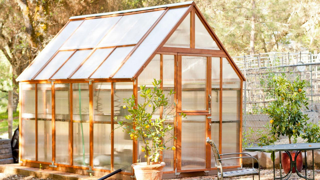Glass greenhouse surrounded by garden plants