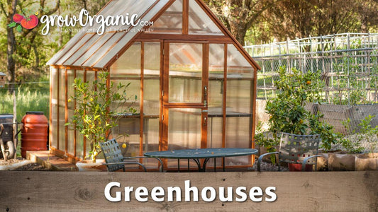 Glass greenhouse surrounded by garden plants