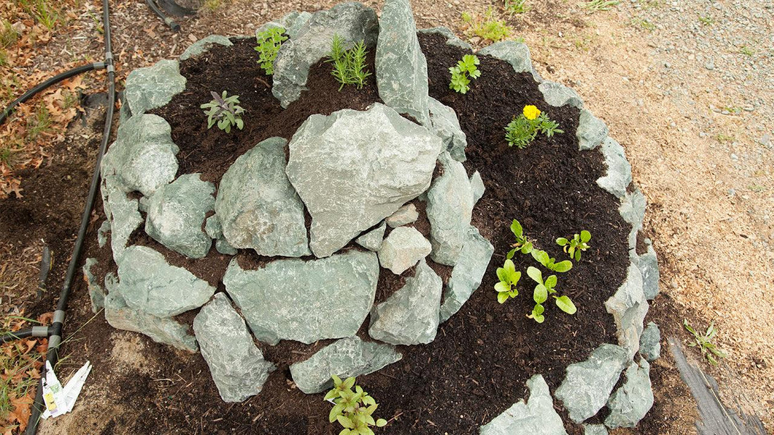 Spiral herb garden edged with pale stones