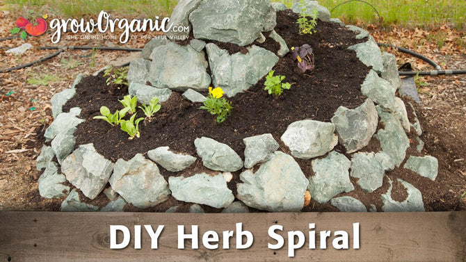 Spiral herb garden edged with pale stones