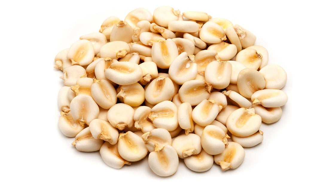 Pile of dried white hominy kernels