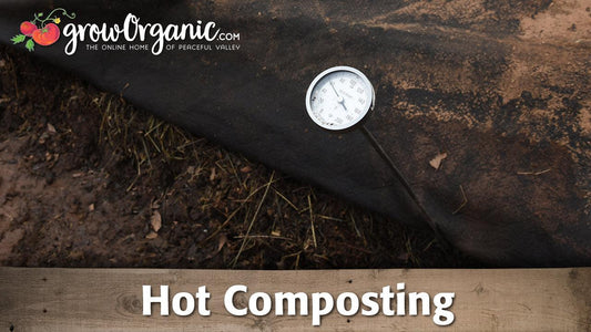 Dial thermometer inserted into a hot compost pile