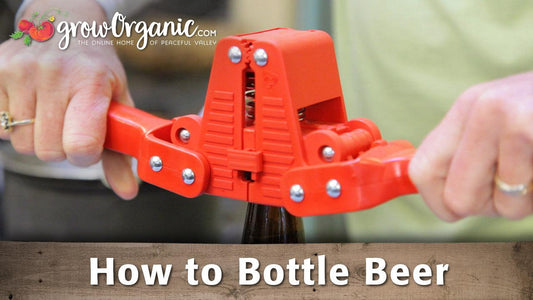 How to Bottle Beer - Grow Organic