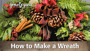 How to Make a Wreath