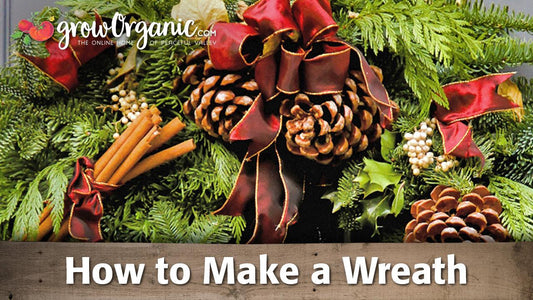 Holiday wreath guide graphic over evergreen branches and cones