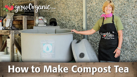 Woman standing beside a large compost-tea brewer