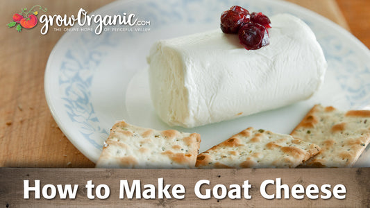 goat cheese making video