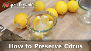 How to Preserve Citrus