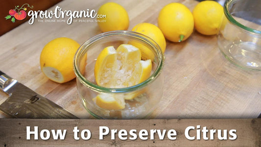 Citrus-preserving guide graphic with lemons and a jar