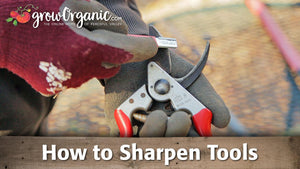 Sharpening Tools -- Pruners, Loppers, Shovels & More