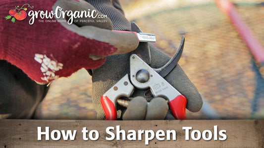 Tool-sharpening guide graphic with pruning shears