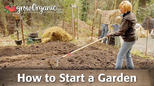 Woman raking a newly prepared garden bed