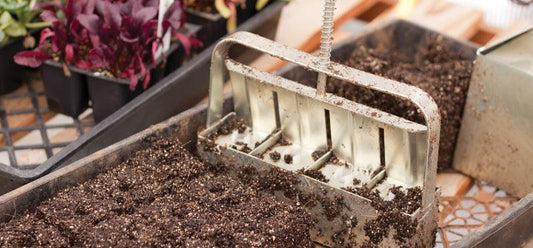 Metal soil-block maker pressed into potting soil