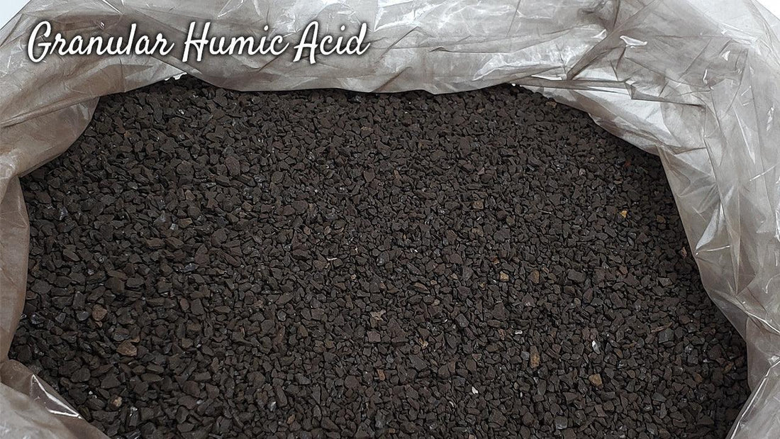 Open bag of dark granular humic acid