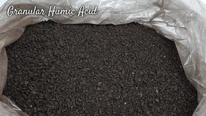 Humic Acid and Humates: Benefits for Garden Soil