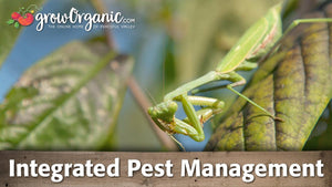 Integrated Pest Management