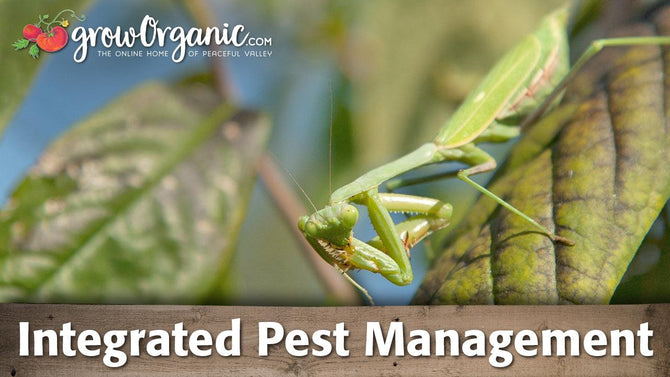 Integrated Pest Management - Grow Organic