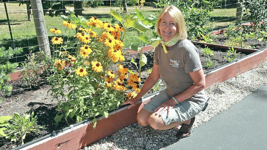 Garden Irrigation Myths - Grow Organic