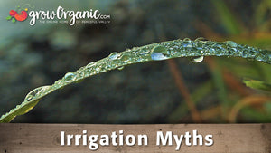 Irrigation Myths