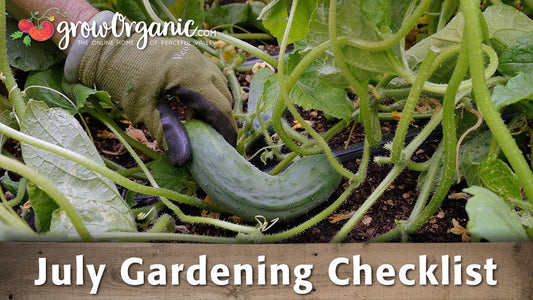 July garden checklist graphic over squash vines
