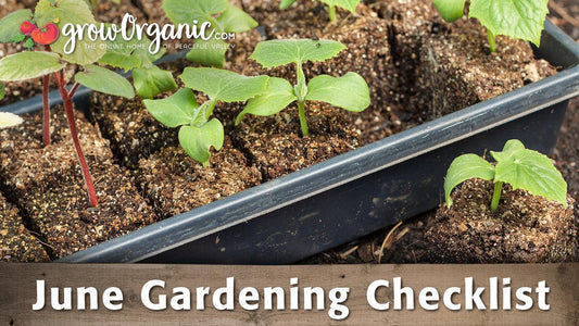 June garden checklist graphic over young seedlings