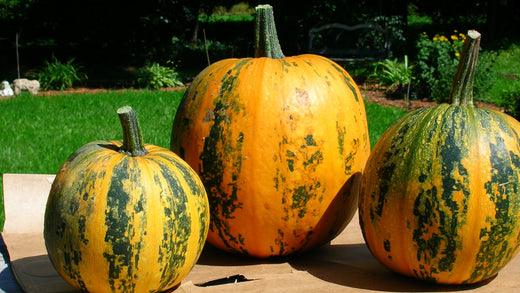 Three striped pumpkins on a wooden surface