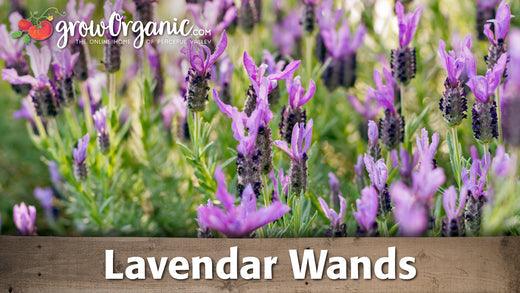 How to Make Lavender Wands - Grow Organic